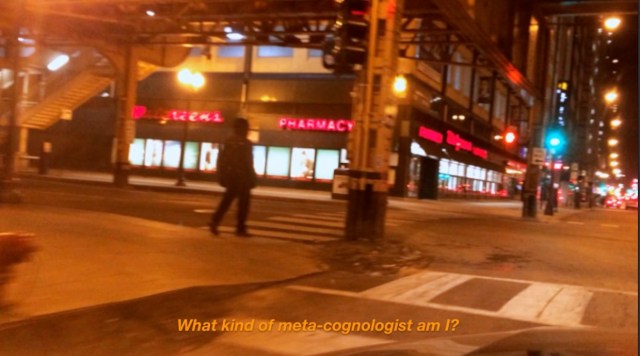 What kind of meta-cognologist am I?