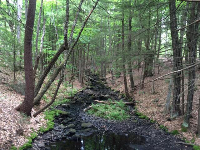 Don and Martha woods